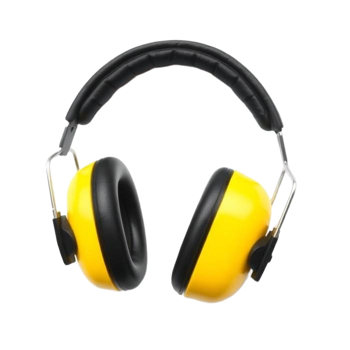 Audição